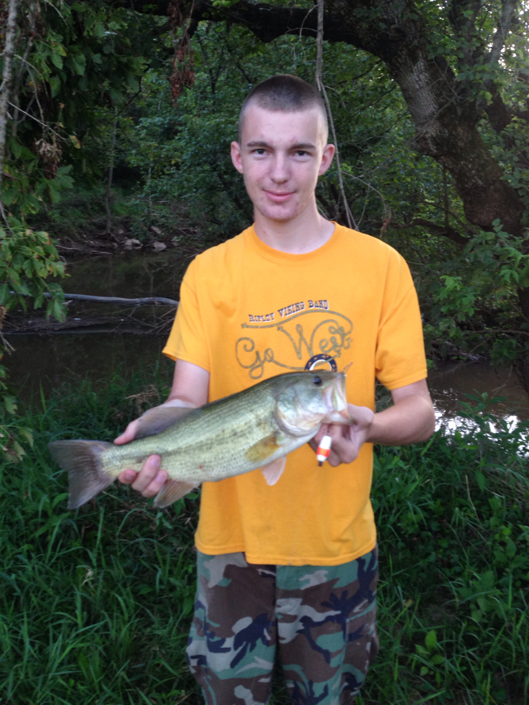 Something's been eating the bluegills in our bait hole! Catfish