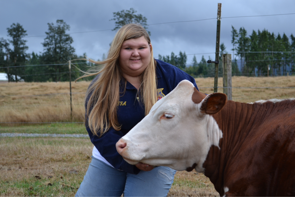 mabel-s-adventure-cattle-forum-your-online-cattle-resource-and