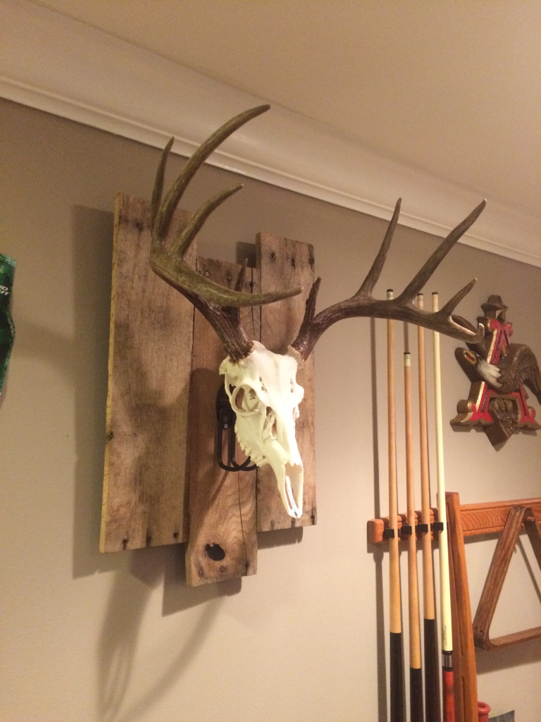 Backboard For Euro Mount - Easy Diy Project - Missouri Whitetails