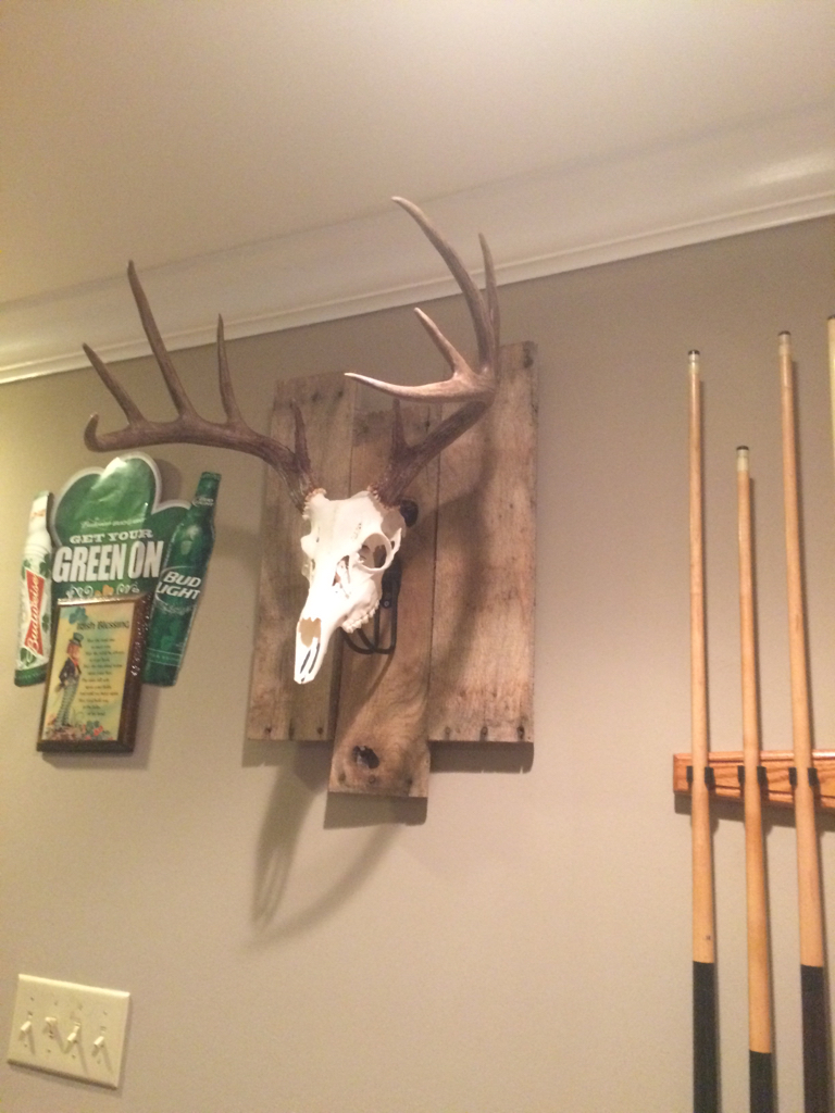 Backboard for Euro Mount Easy DIY Project Missouri Whitetails