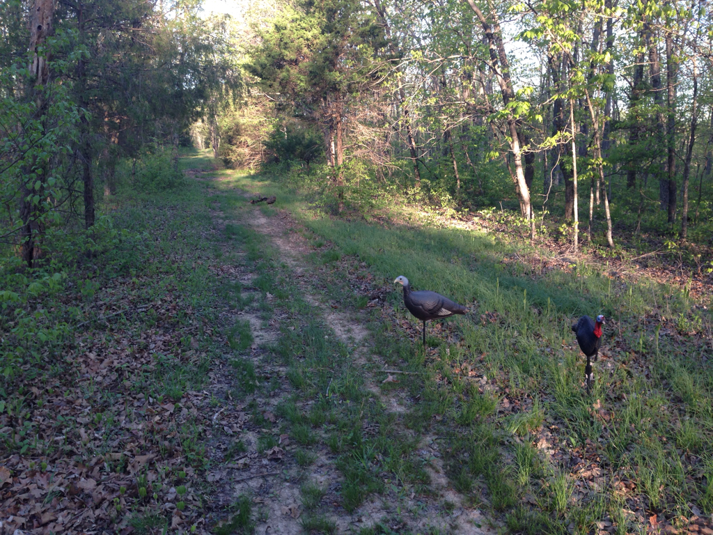 Ct 2017 - Member Hunting Journals