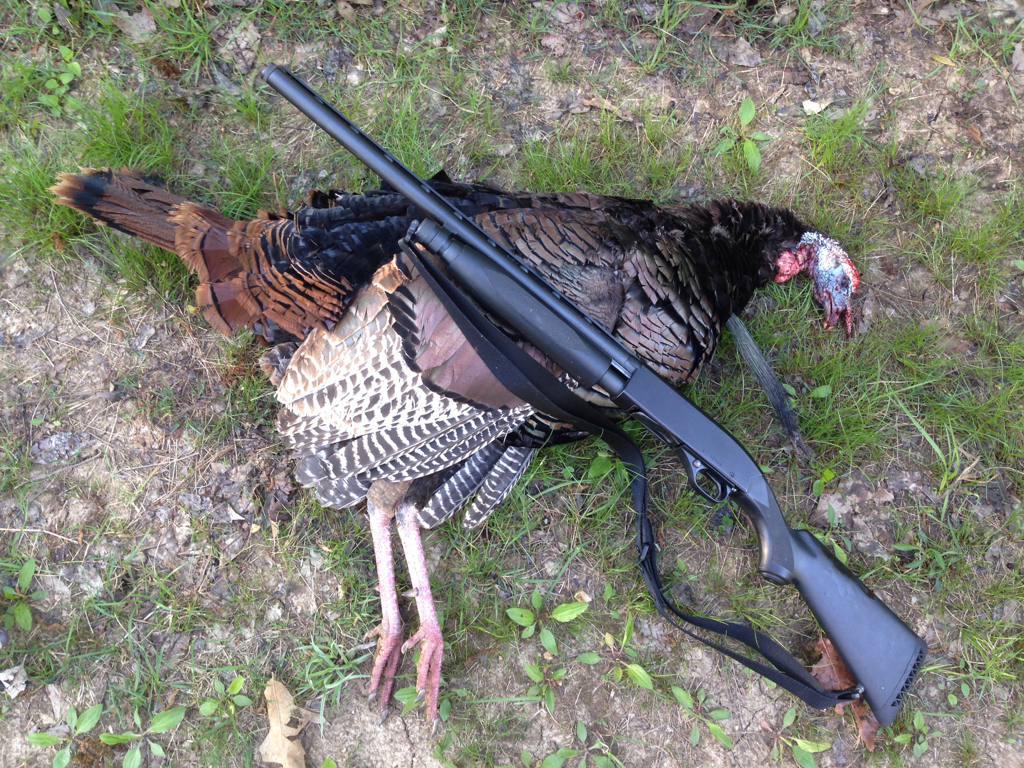 Ct 2017 - Member Hunting Journals