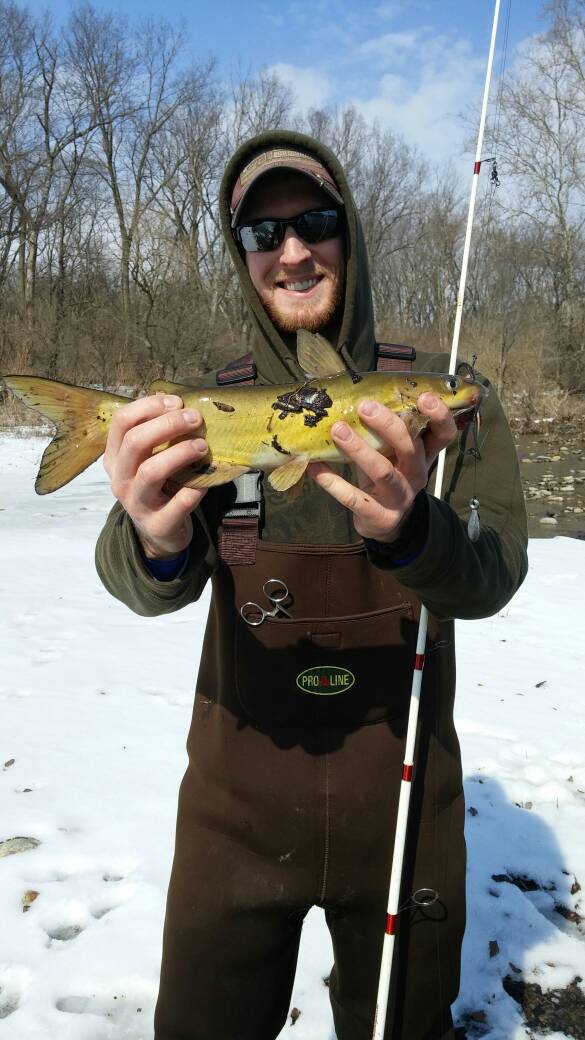 Jaw Dropping The Biggest Ohio Shovelhead Catfish You Ll Ever See - mcb9214