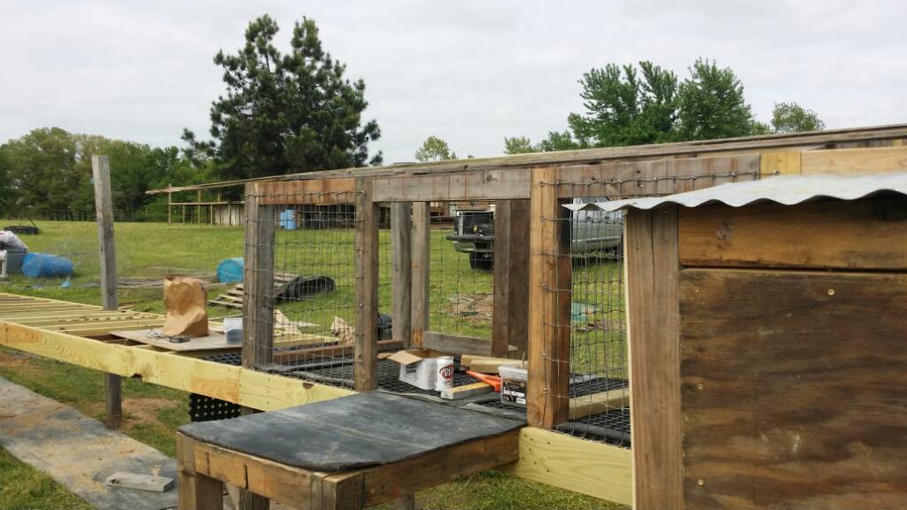 New kennel Rabbit Dogs